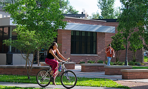 student riding a bike on campus grounds in the summer