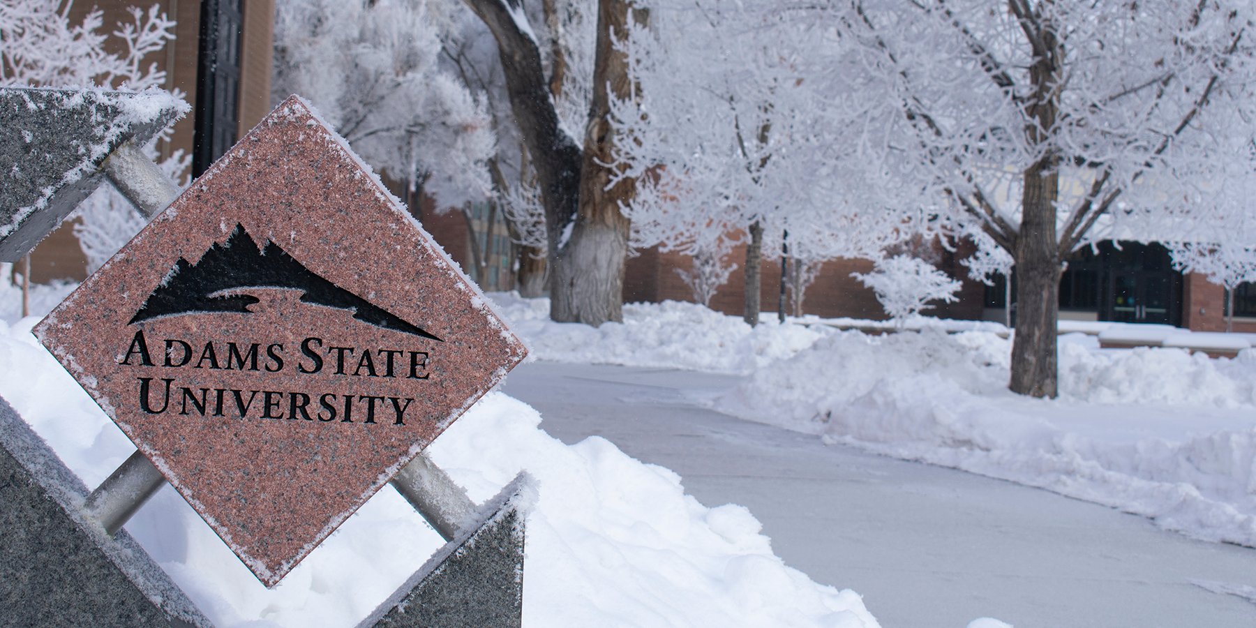 campus in winter snow